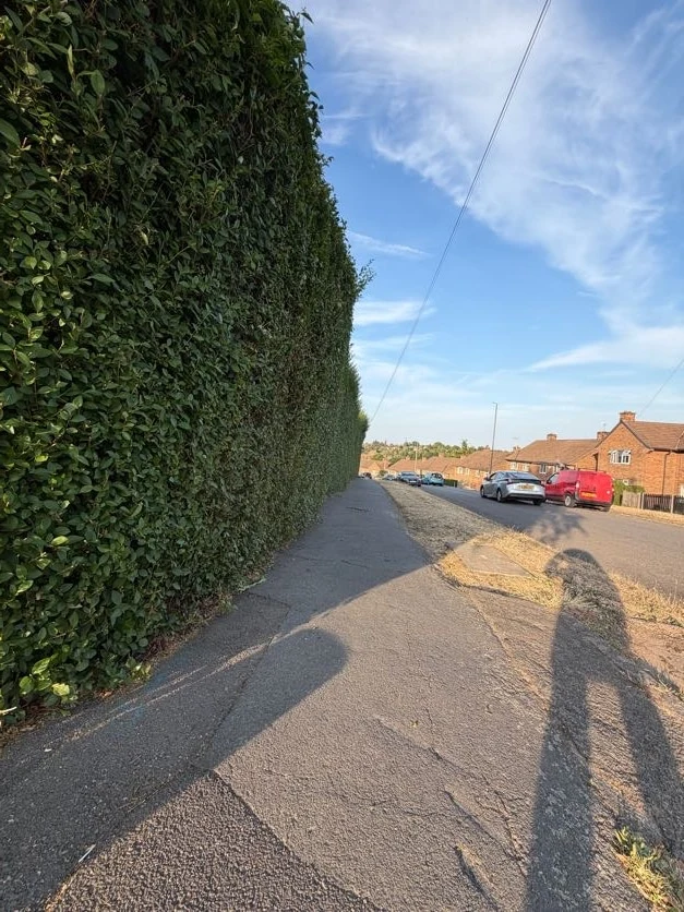 Freshly trimmed hedge in Derby with a level top and sharp, neat sides