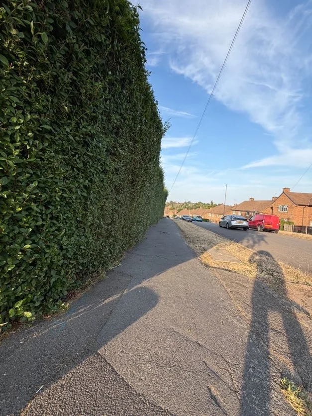 Freshly trimmed hedge in Derby with a level top and sharp, neat sides