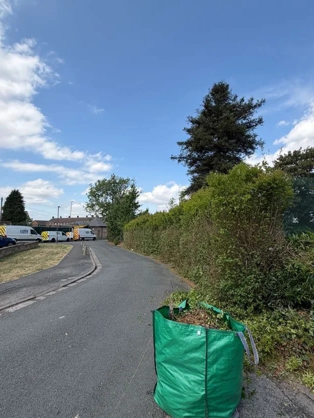 Neat, maintained boundary hedges in Derby